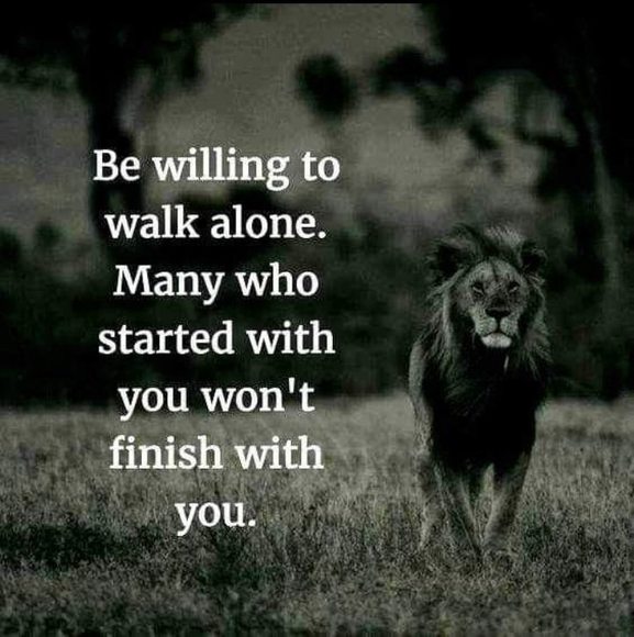 Meet your Posher, Steve - Picture 1 of 1